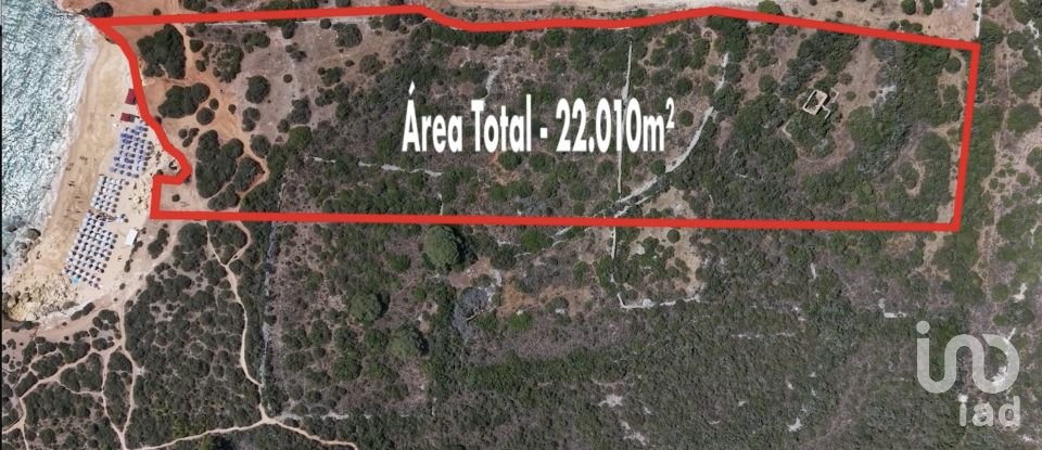 Farm land in Porches of 22,010 m²