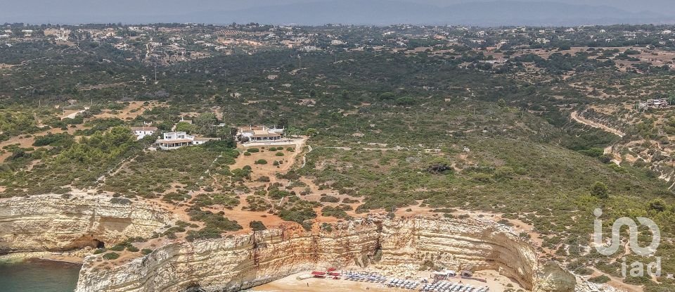 Farm land in Porches of 22,010 m²