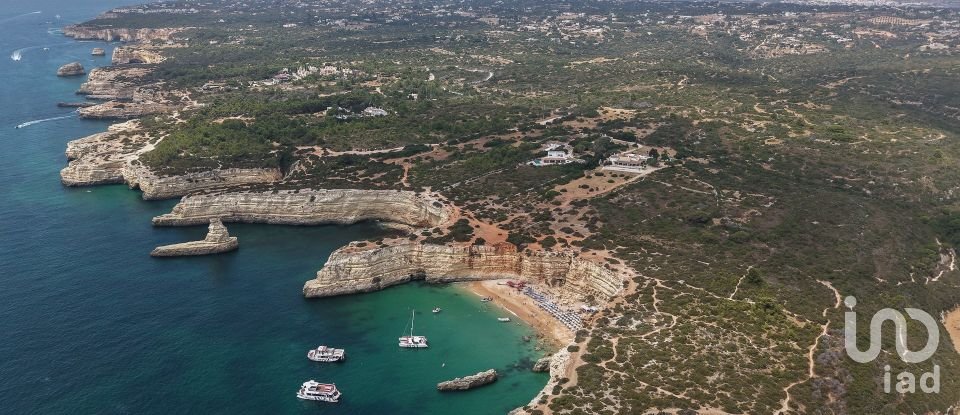 Farm land in Porches of 22,010 m²