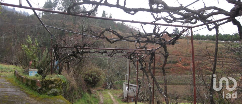 Maison traditionnelle T2 à Famalicão de 100 m²