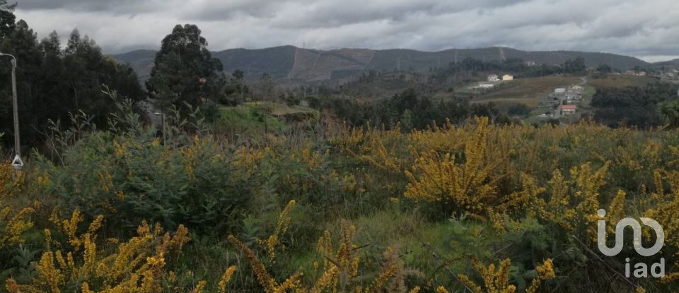 Land in Foz do Sousa e Covelo of 5,530 m²