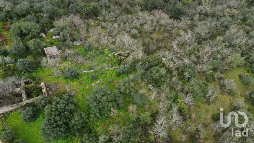 Maison de village T0 à Chãos de 150 m²