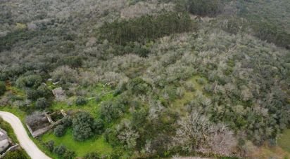 Village house T0 in Chãos of 150 m²