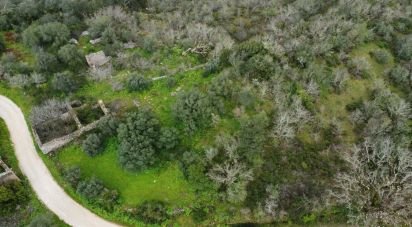 Village house T0 in Chãos of 150 m²