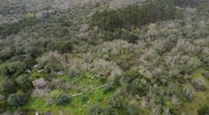 Village house T0 in Chãos of 150 m²