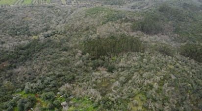 Village house T0 in Chãos of 150 m²