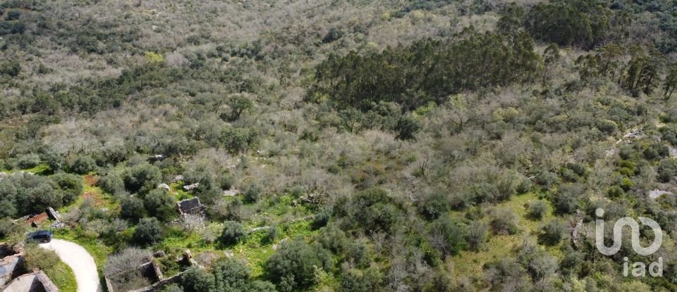 Maison de village T0 à Chãos de 150 m²