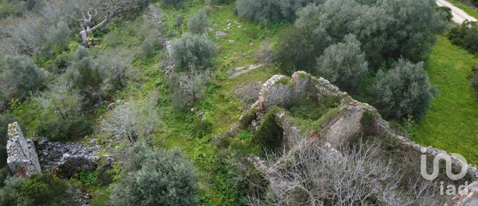 Maison de village T0 à Chãos de 150 m²