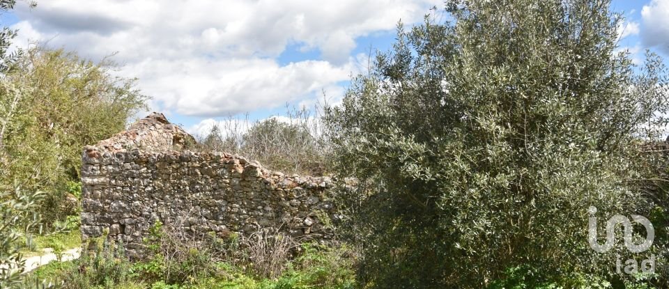 Maison de village T0 à Chãos de 150 m²