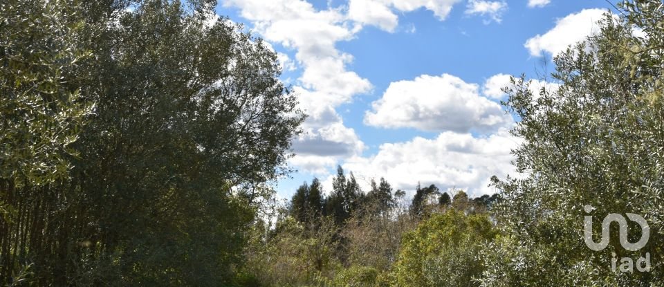 Maison de village T0 à Chãos de 150 m²