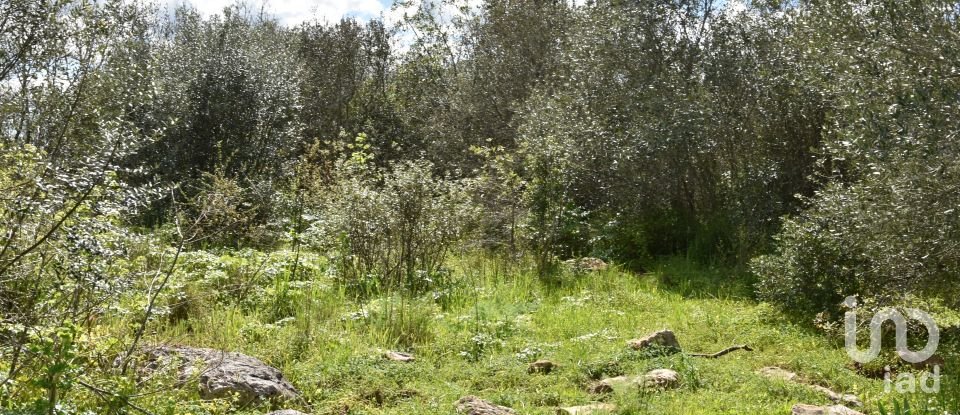 Maison de village T0 à Chãos de 150 m²