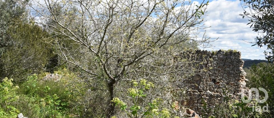 Maison de village T0 à Chãos de 150 m²