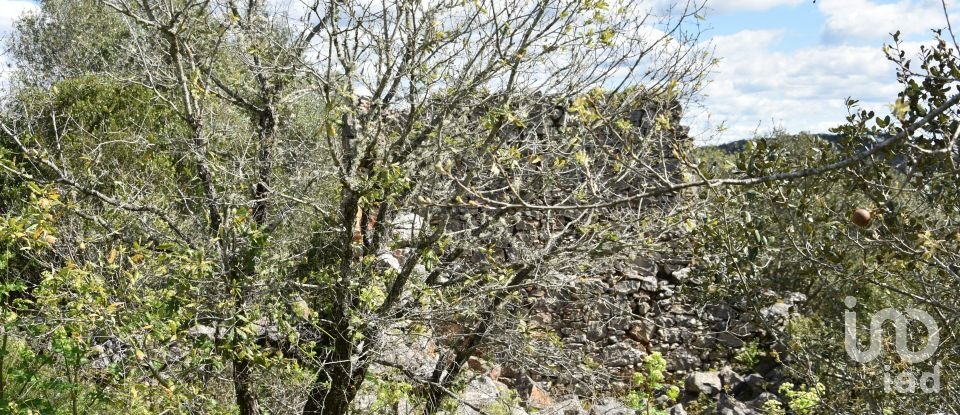 Maison de village T0 à Chãos de 150 m²