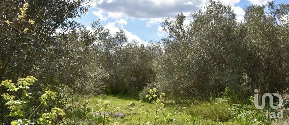 Maison de village T0 à Chãos de 150 m²