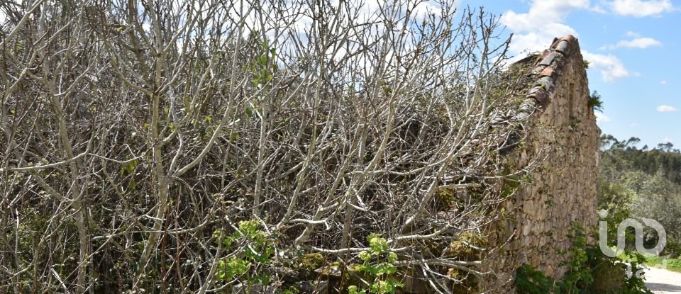 Maison de village T0 à Chãos de 150 m²