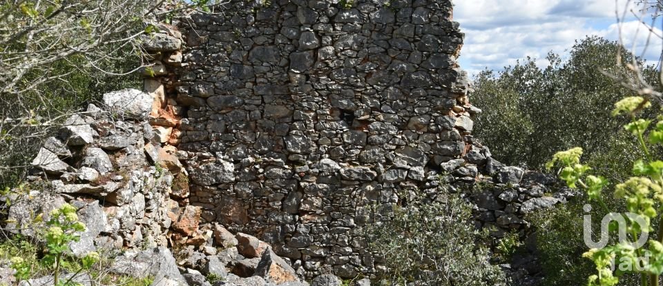 Maison de village T0 à Chãos de 150 m²