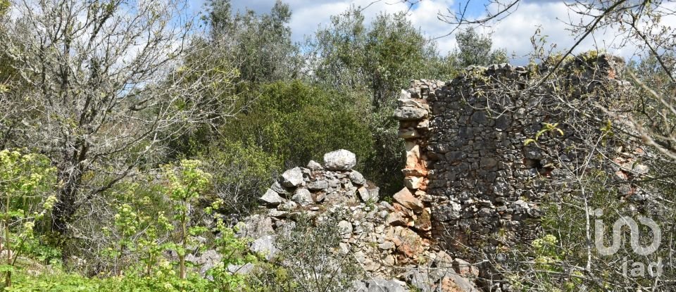 Maison de village T0 à Chãos de 150 m²