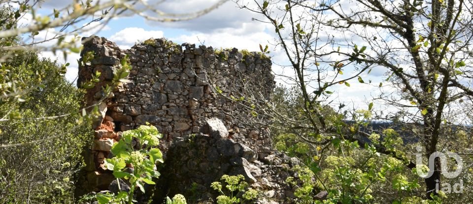 Maison de village T0 à Chãos de 150 m²