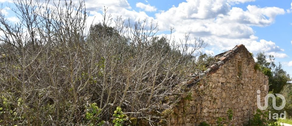 Maison de village T0 à Chãos de 150 m²