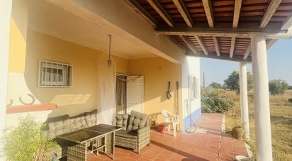 Domaine T4 à Ferreira do Alentejo e Canhestros de 78 000 m²