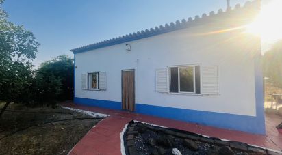 Domaine T4 à Ferreira do Alentejo e Canhestros de 78 000 m²