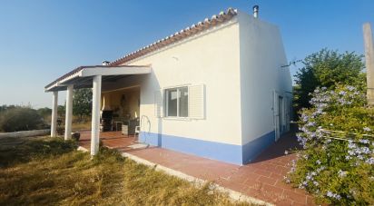 Domaine T4 à Ferreira do Alentejo e Canhestros de 78 000 m²