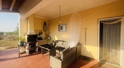 Domaine T4 à Ferreira do Alentejo e Canhestros de 78 000 m²