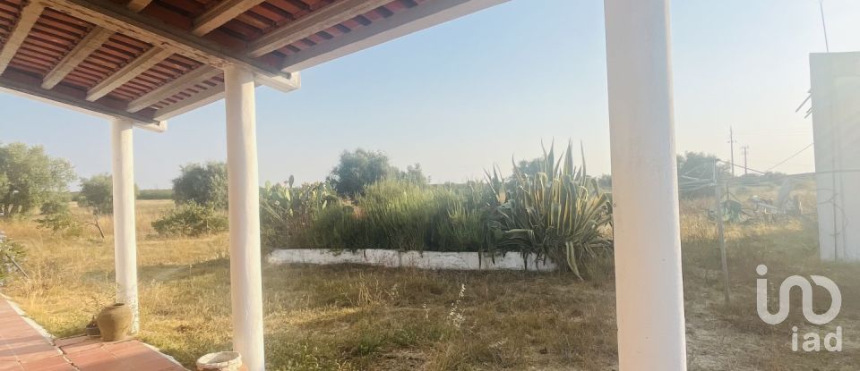 Domaine T4 à Ferreira do Alentejo e Canhestros de 78 000 m²