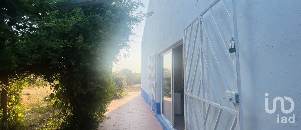 Domaine T4 à Ferreira do Alentejo e Canhestros de 78 000 m²