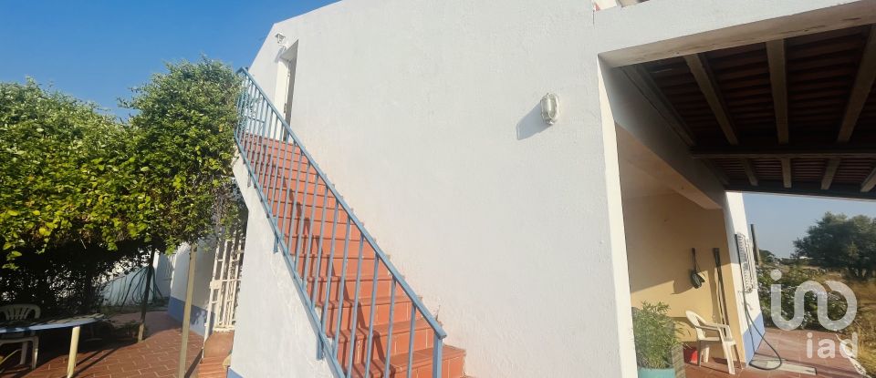 Domaine T4 à Ferreira do Alentejo e Canhestros de 78 000 m²