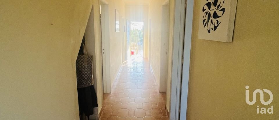 Domaine T4 à Ferreira do Alentejo e Canhestros de 78 000 m²