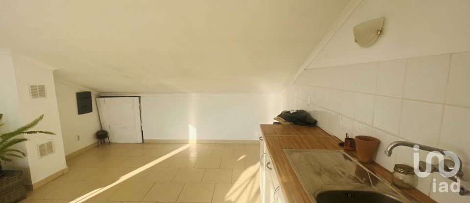 Domaine T4 à Ferreira do Alentejo e Canhestros de 78 000 m²