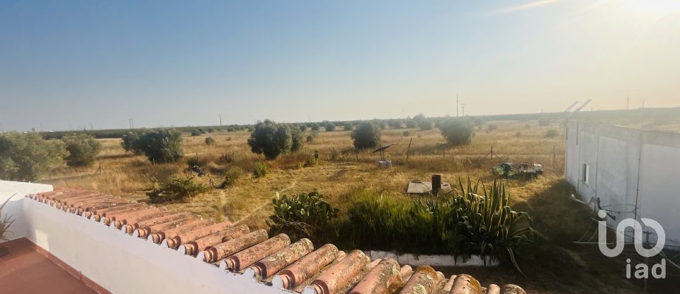 Domaine T4 à Ferreira do Alentejo e Canhestros de 78 000 m²