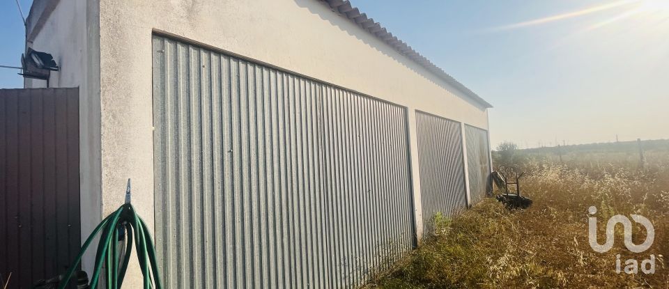 Domaine T4 à Ferreira do Alentejo e Canhestros de 78 000 m²