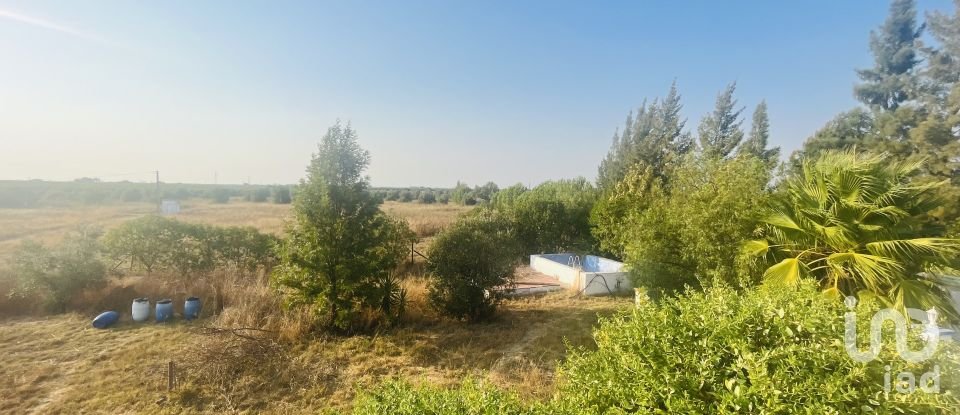 Domaine T4 à Ferreira do Alentejo e Canhestros de 78 000 m²