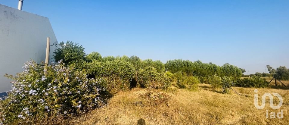 Domaine T4 à Ferreira do Alentejo e Canhestros de 78 000 m²