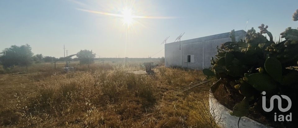 Domaine T4 à Ferreira do Alentejo e Canhestros de 78 000 m²