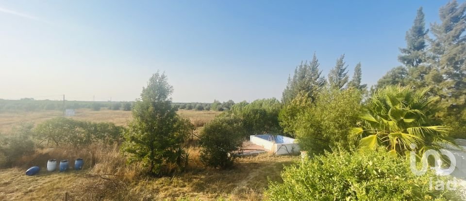 Domaine T4 à Ferreira do Alentejo e Canhestros de 78 000 m²