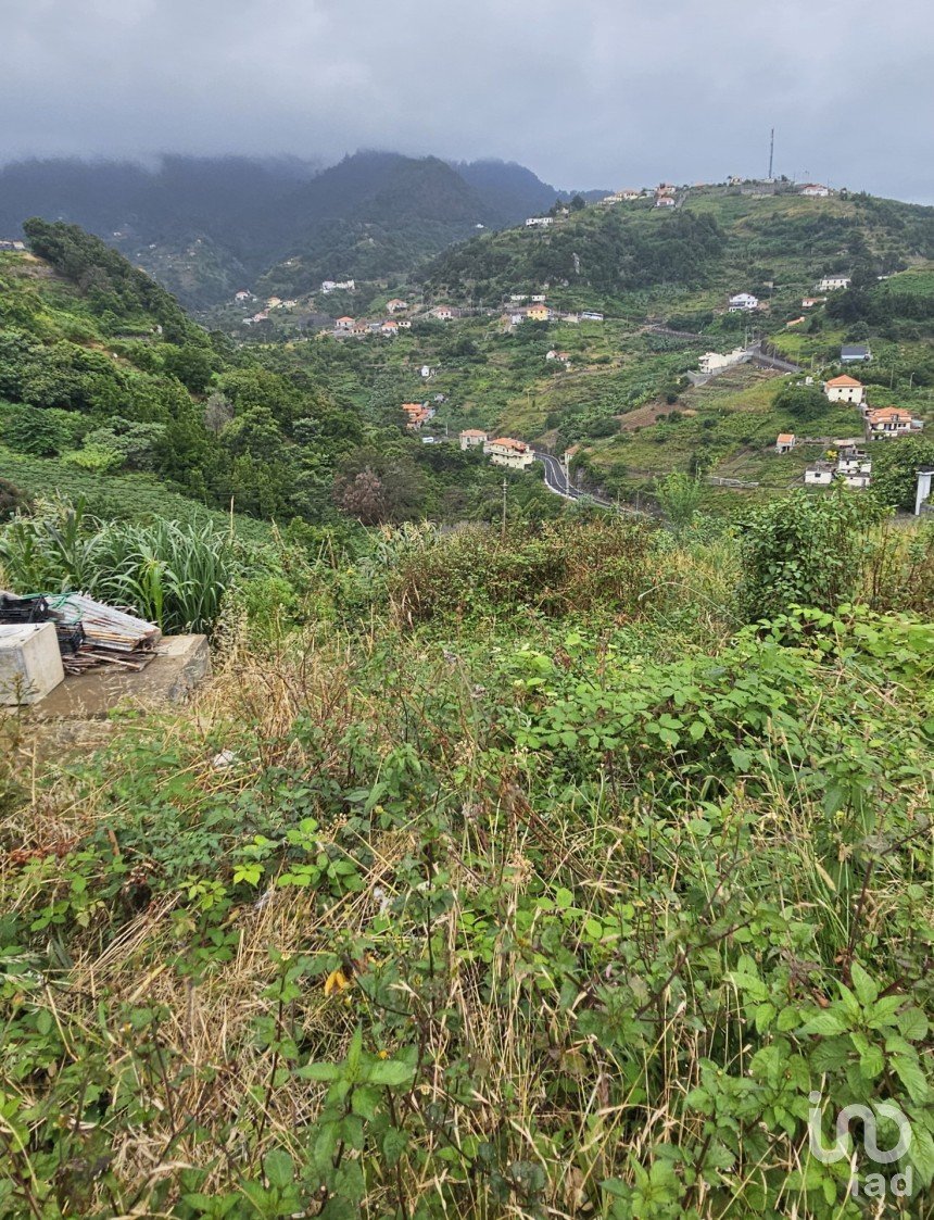 Terreno em Porto da Cruz de 870 m²