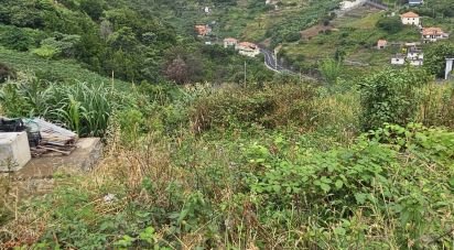 Terrain à Porto da Cruz de 870 m²
