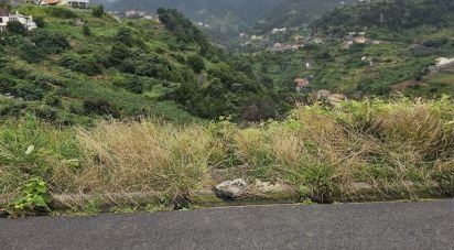 Terrain à Porto da Cruz de 870 m²