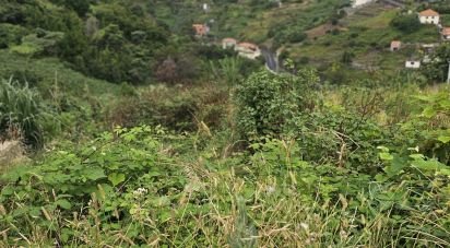 Terrain à Porto da Cruz de 870 m²