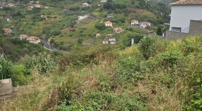 Terrain à Porto da Cruz de 870 m²