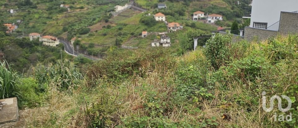 Terreno em Porto da Cruz de 870 m²