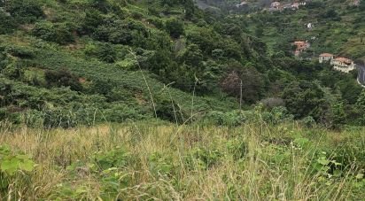 Terrain à Porto da Cruz de 870 m²