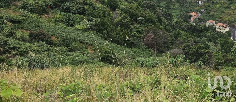 Terreno em Porto da Cruz de 870 m²