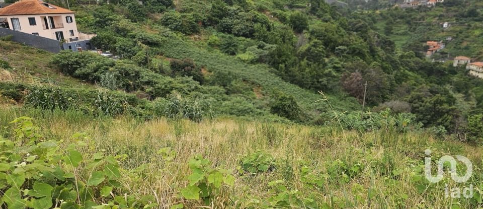 Terreno em Porto da Cruz de 870 m²