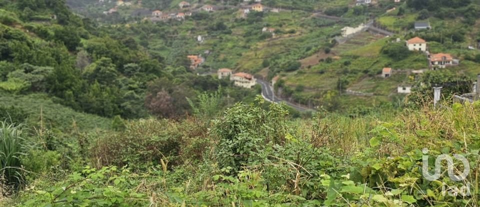 Terreno em Porto da Cruz de 870 m²