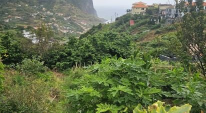 Terrain à Porto da Cruz de 990 m²