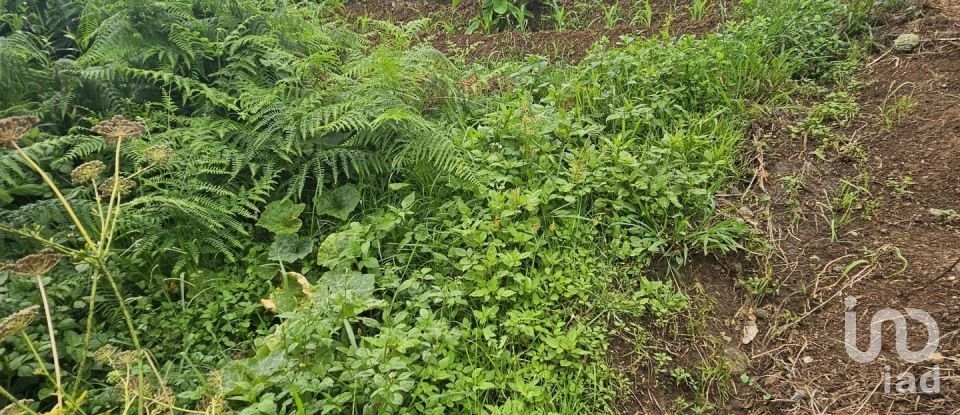 Terreno em Porto da Cruz de 990 m²